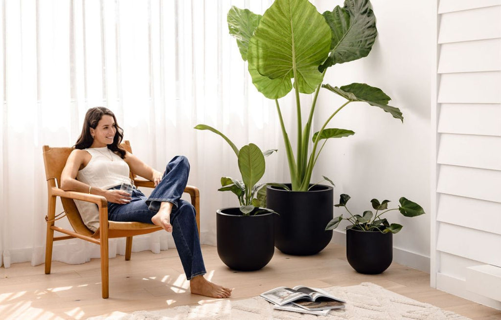 Black Thomas pots containing lush plants and arranged in a cluster of three.