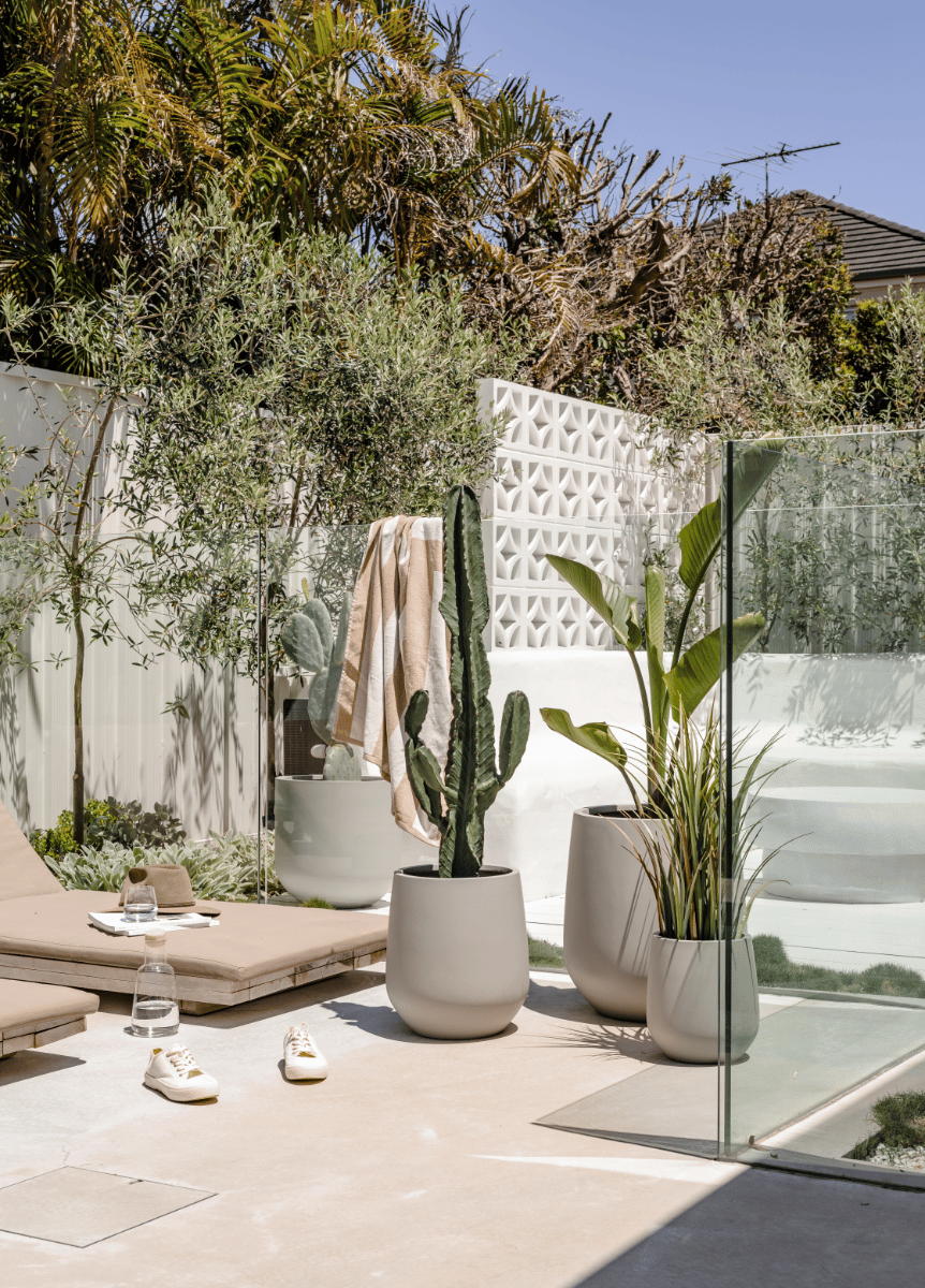The Top 10 Plants for Your Garden Pots in Miami – The Balcony Garden US