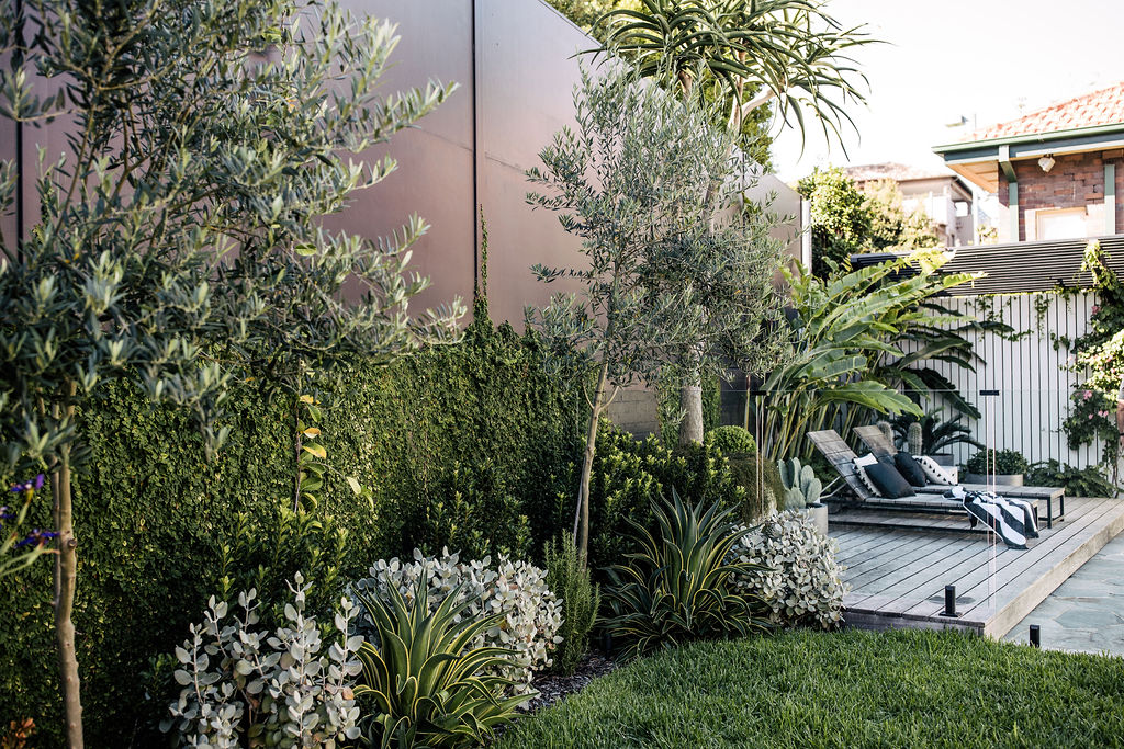 Plants That Love Full Sun: A Guide for Sunny Gardens