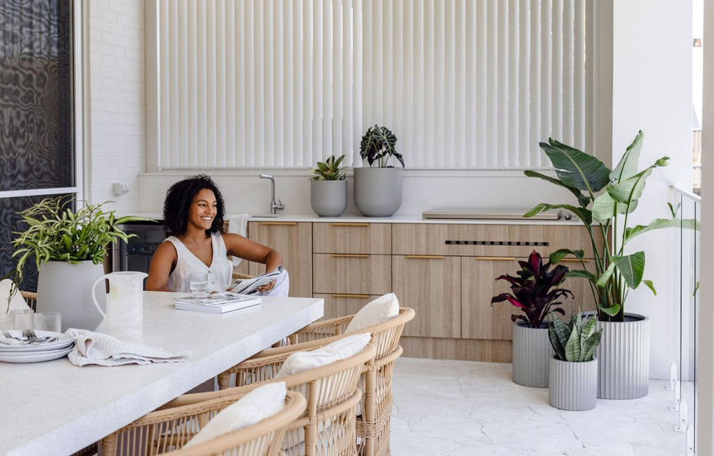 Selecting the Perfect Plants for Your Balcony or Patio Garden