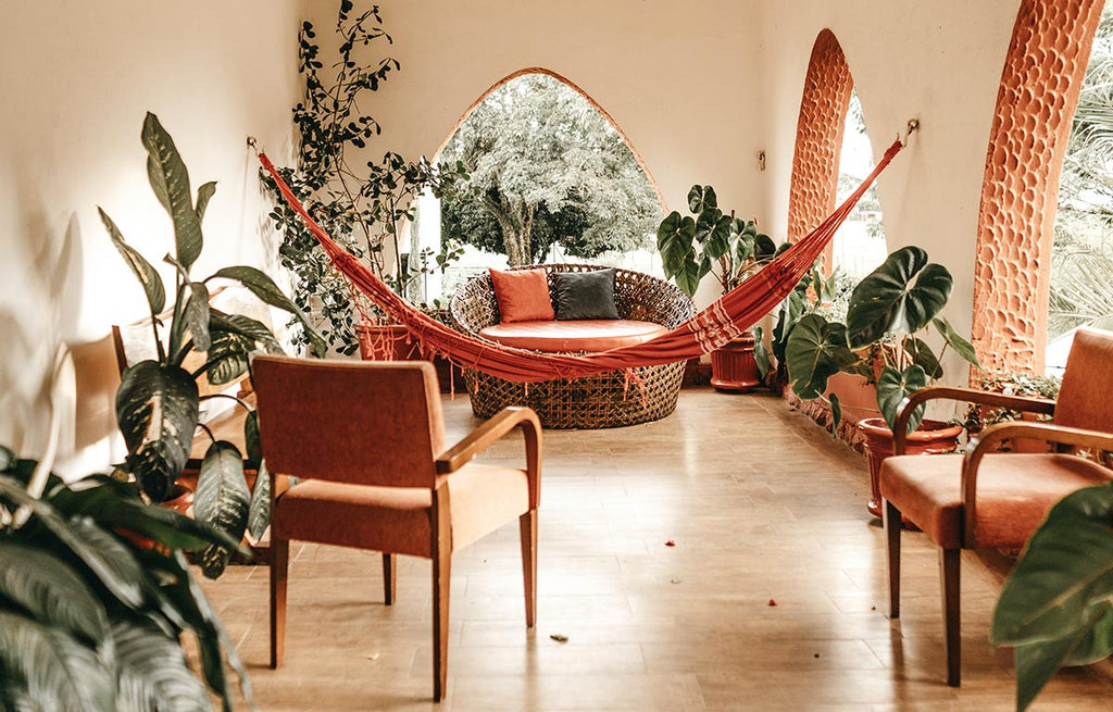 Enclosed indirect sun room filled with thriving indoor plants.