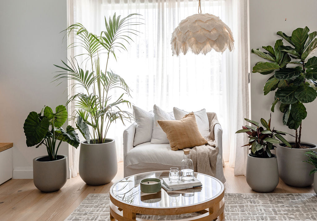 Green Beauties for Miami Homes: Top 10 Best Indoor Plants Guide  The  Balcony Garden US