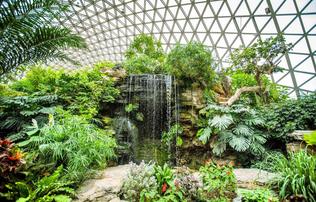 A domed green house with an indoor waterfall surrounded by lush green foliage. 