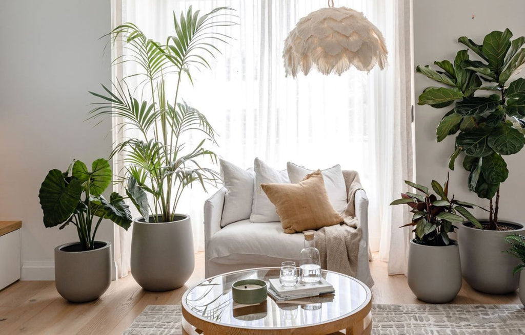 Grey indoor planter pots compliment a white 60's style sitting room.