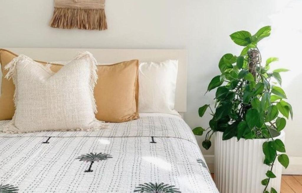 The Benefits of Adding Plants to Your Bedroom