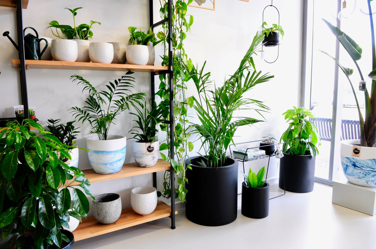 self watering planter with trellis Self-Watering Mini Planter Pot with Trellis ｜ Vego Garden main image 1