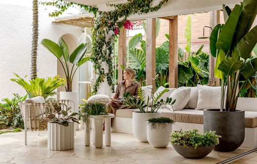 9 Gardening Trends That Will Shape 2025