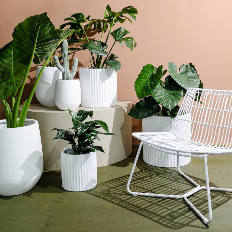 White Rosie Pots and Lucy Pots are placed on and around a plinth set against a peach-coloured wall and green concrete flooring.