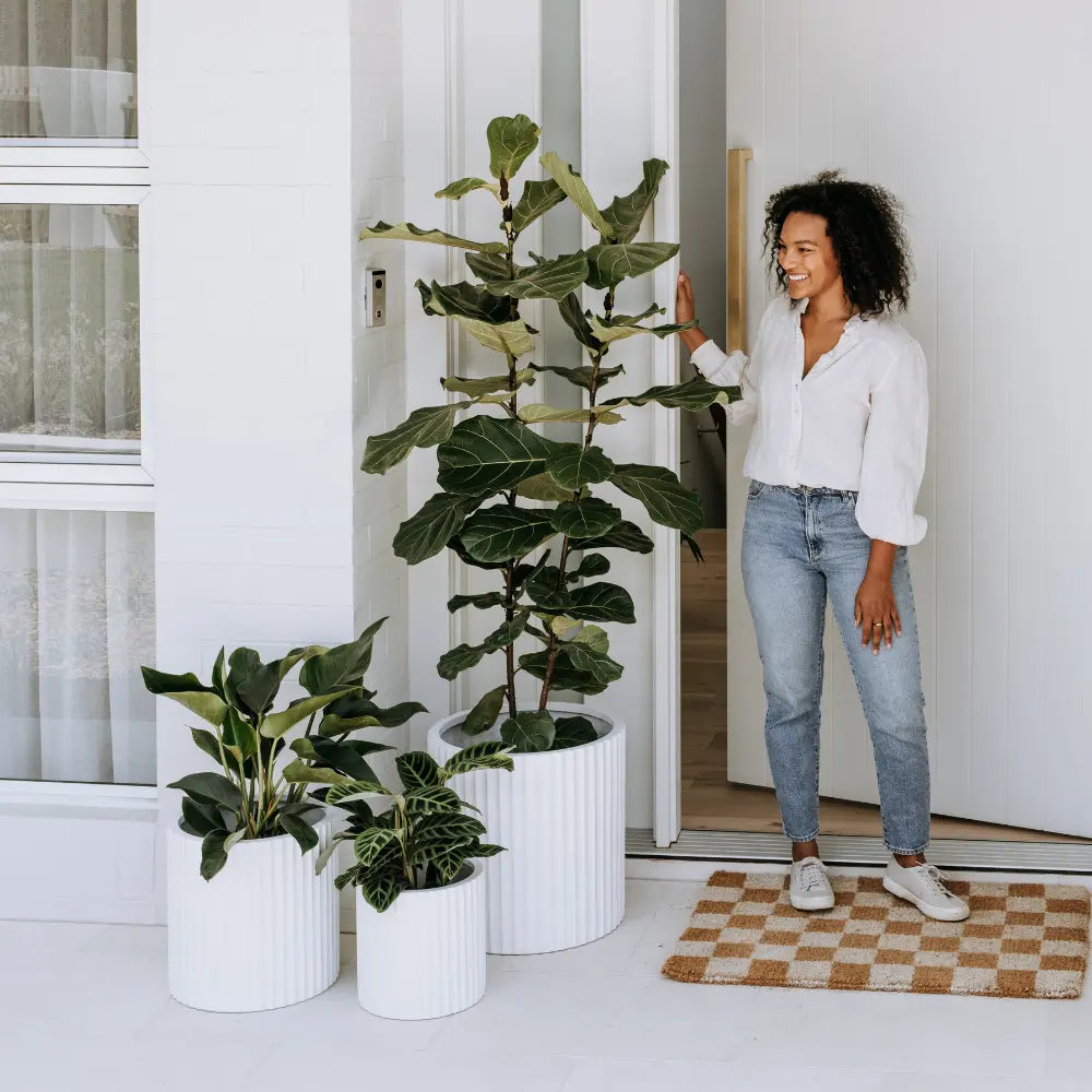 Create an Awesome-looking Three-pot Cluster  The Balcony Garden US