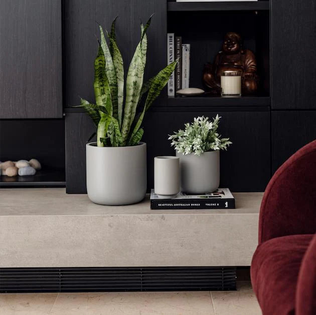 Indoor Pots