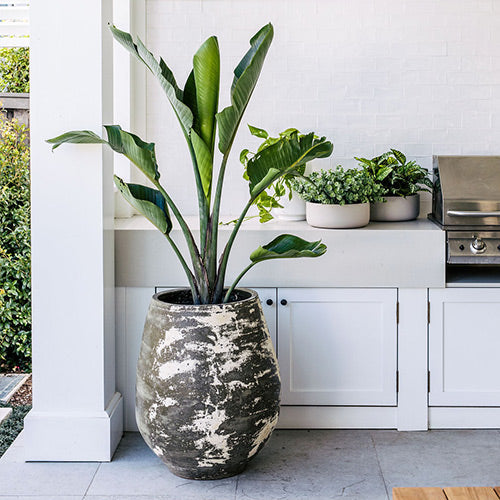 Rustic Planters - Handmade Wood-Fired Thai Clay Planters  The Balcony  Garden US