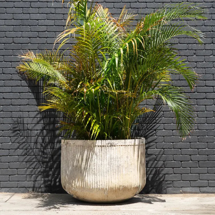 cane pots for plants Chardonnay – Handmade Wood-Fired Thai Clay Planter