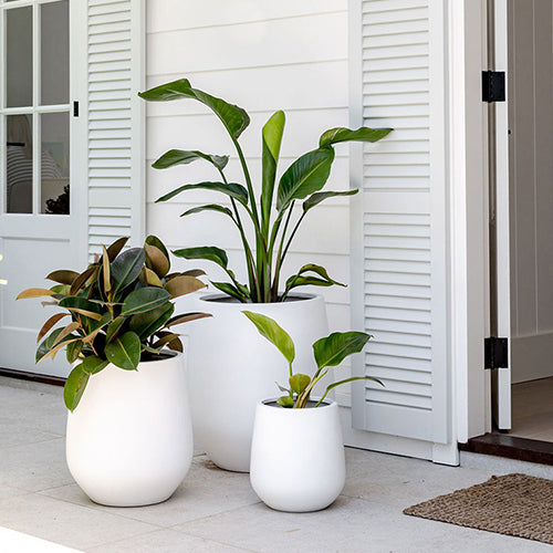 jett pot planter JITT Lightweight Planter – The Balcony Garden US