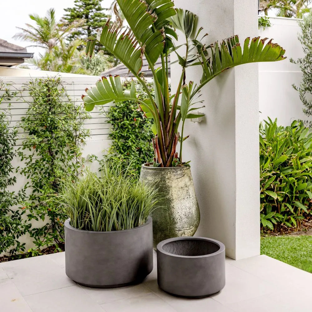 indoor concrete plant pots Shoob Planter – The Balcony Garden US
