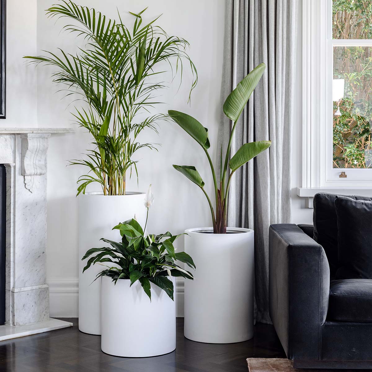 big pots for indoor plants Loob Fibreglass Planters – The Balcony Garden US