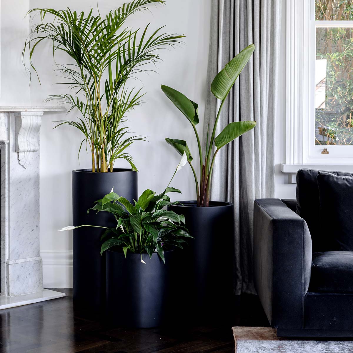 giant indoor plant pot Loob Fibreglass Planters – The Balcony Garden US