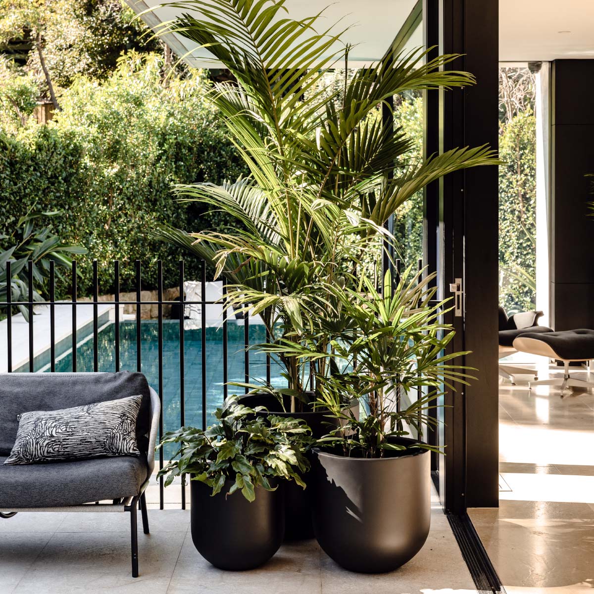 over balcony planter pots Straight Up Planter – The Balcony Garden US