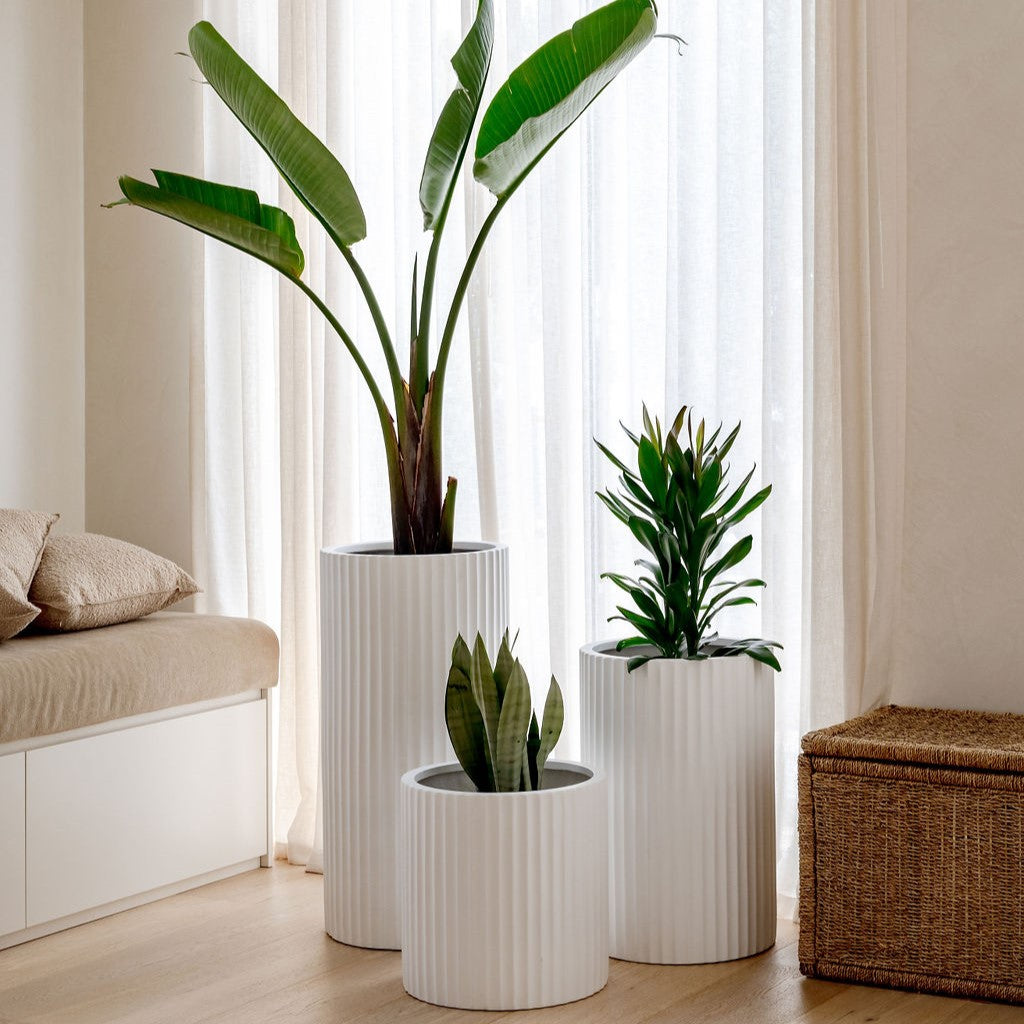 ribbed plant pots Ribbed Loob Lightweight Planters – The Balcony Garden US