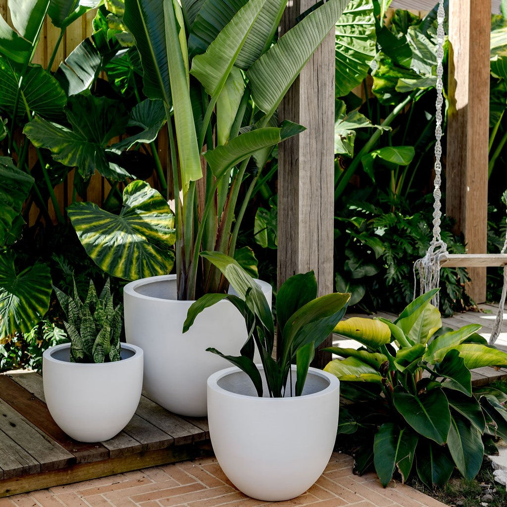 indoor large pots for plants Tub