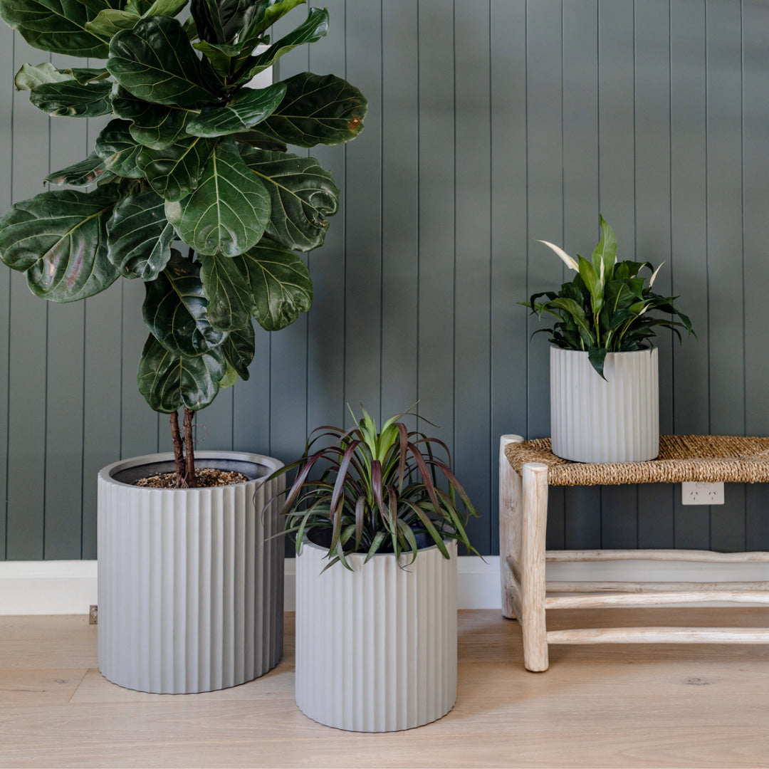 large indoor plant pots uk Rosie Garden Pot – The Balcony Garden US